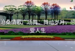 沧桑情歌广场舞：舞动岁月，感受人生