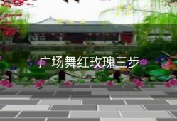 广场舞红玫瑰三步