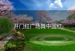 开门红广场舞中国红