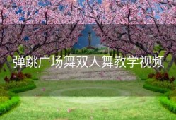 弹跳广场舞双人舞教学视频