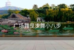 广场舞曳步舞小八步