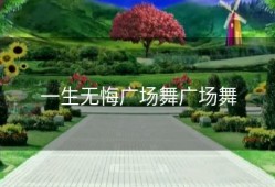 一生无悔广场舞广场舞
