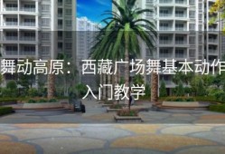 舞动高原：西藏广场舞基本动作入门教学