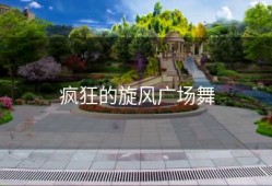 疯狂的旋风广场舞