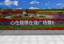 心在跳情在烧广场舞8
