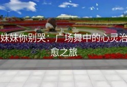 妹妹你别哭：广场舞中的心灵治愈之旅