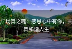 广场舞之魂：感恩心中有你，共舞和谐人生