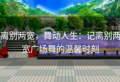离别两宽，舞动人生：记离别两宽广场舞的温馨时刻