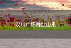 汉川广场舞红山果