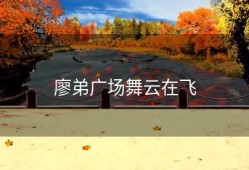 廖弟广场舞云在飞