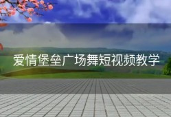 爱情堡垒广场舞短视频教学