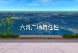 六哥广场舞任性