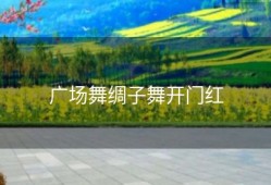 广场舞绸子舞开门红