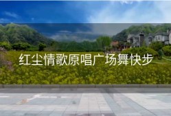 红尘情歌原唱广场舞快步