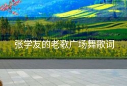 张学友的老歌广场舞歌词
