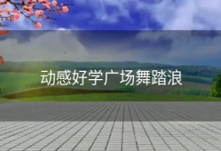 动感好学广场舞踏浪