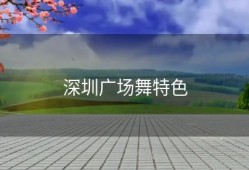 深圳广场舞特色