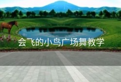 会飞的小鸟广场舞教学