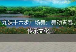 九妹十六步广场舞：舞动青春，传承文化