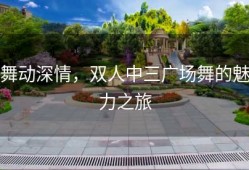 舞动深情，双人中三广场舞的魅力之旅