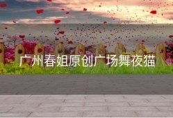 广州春姐原创广场舞夜猫