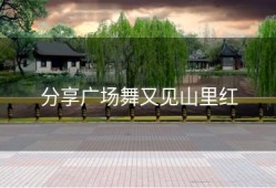 分享广场舞又见山里红