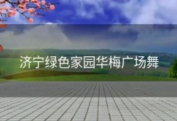 济宁绿色家园华梅广场舞