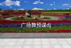 广场舞预谋dj