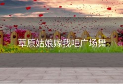 草原姑娘嫁我吧广场舞