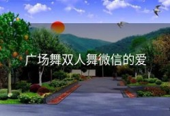 广场舞双人舞微信的爱