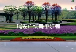 瑞安广场舞鬼步舞