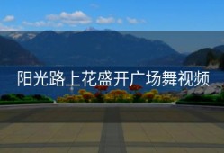 阳光路上花盛开广场舞视频