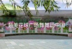 最美花球广场舞舞动中国