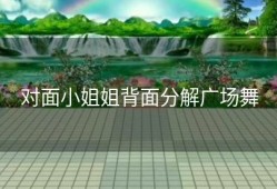 对面小姐姐背面分解广场舞