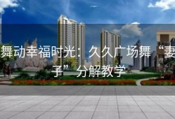 舞动幸福时光：久久广场舞“妻子”分解教学