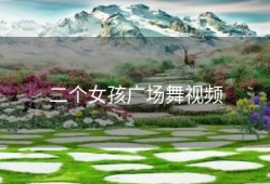 二个女孩广场舞视频