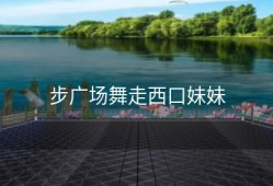 步广场舞走西口妹妹