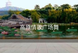 高原情歌广场舞