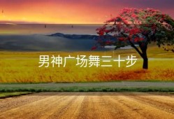 男神广场舞三十步