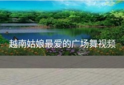 越南姑娘最爱的广场舞视频