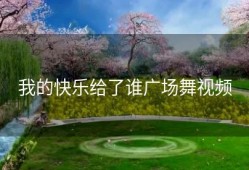 我的快乐给了谁广场舞视频