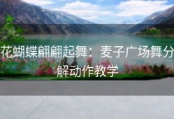 花蝴蝶翩翩起舞：麦子广场舞分解动作教学