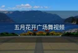 五月花开广场舞视频