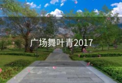 广场舞叶青2017