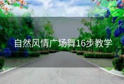 自然风情广场舞16步教学