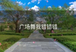 广场舞我错错错