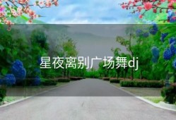 星夜离别广场舞dj