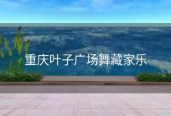 重庆叶子广场舞藏家乐