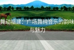 舞动福建：广场舞纯音乐的韵味与魅力