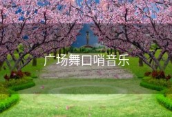 广场舞口哨音乐